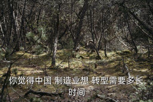 中國制造業(yè)如何轉(zhuǎn)型,制造業(yè)轉(zhuǎn)型升級的概念