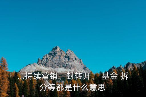 ...持續(xù)營銷、封轉開、 基金 拆分等都是什么意思