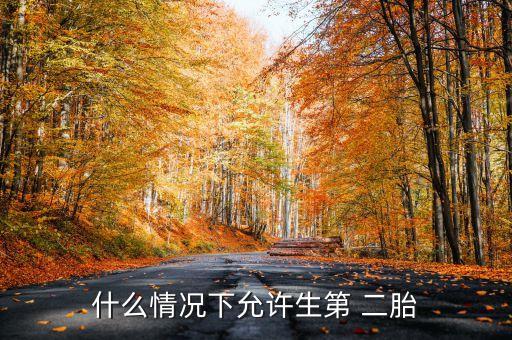 上海符合生二胎的條件,哪些條件符合生二胎政策