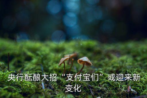  央行醞釀大招“支付寶們”或迎來(lái)新變化