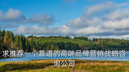 求推薦一個(gè)靠譜的高端品牌營(yíng)銷戰(zhàn)略咨詢公司