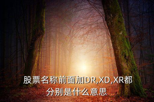  股票名稱前面加DR,XD,XR都分別是什么意思