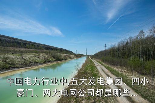 中國電力行業(yè)中,五大發(fā)電集團、四小豪門、兩大電網(wǎng)公司都是哪些...