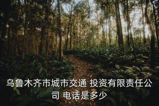 烏魯木齊市城市交通 投資有限責任公司 電話是多少