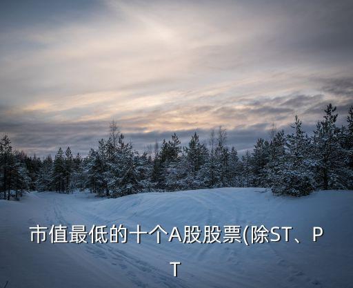 市值最低的十個(gè)A股股票(除ST、PT