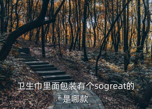 伊藤忠中國商事株式會(huì)社