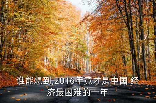 2016中國經(jīng)濟(jì)
