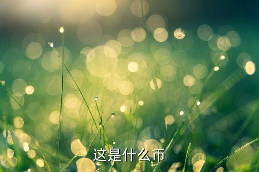 農(nóng)業(yè)銀行猴紀(jì)念幣查詢(xún)