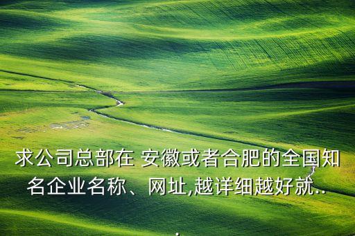 求公司總部在 安徽或者合肥的全國知名企業(yè)名稱、網(wǎng)址,越詳細(xì)越好就...