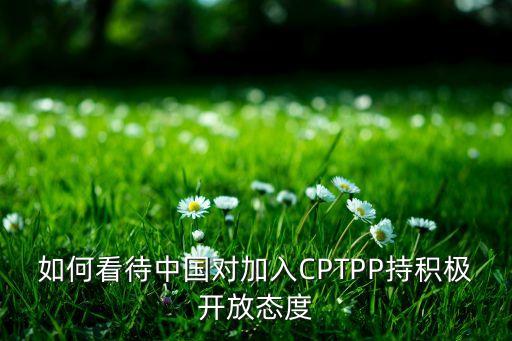 如何看待中國(guó)對(duì)加入CPTPP持積極開放態(tài)度