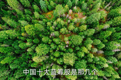 中國十大藍(lán)籌股是那幾個(gè)