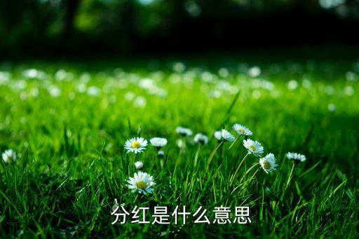  分紅是什么意思