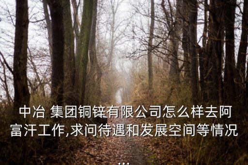  中冶 集團銅鋅有限公司怎么樣去阿富汗工作,求問待遇和發(fā)展空間等情況...