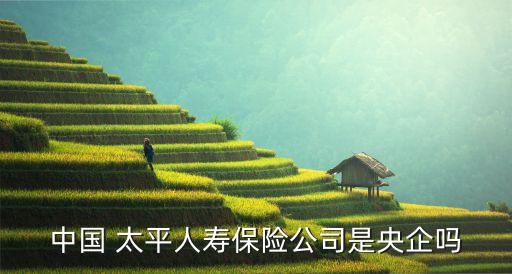 中國(guó) 太平人壽保險(xiǎn)公司是央企嗎