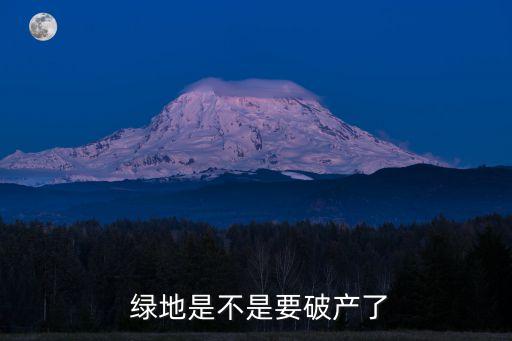 綠地集團上海2015預(yù)售