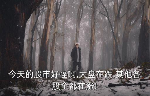 今天的股市好怪啊,大盤在跌,其他各股全都在漲!