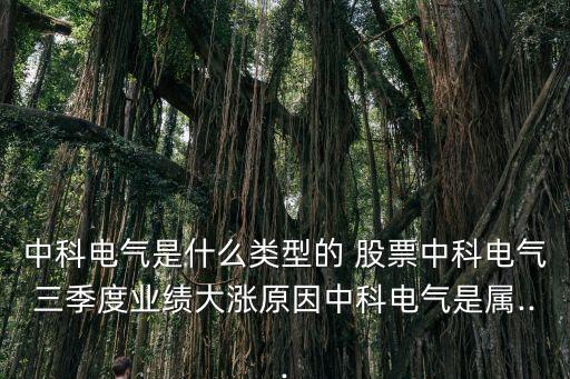 石墨龍頭股票,生產石墨烯的龍頭股票有哪些