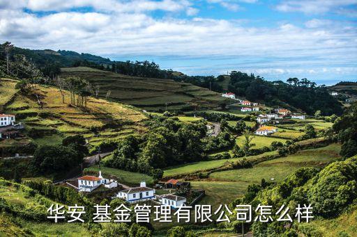  華安 基金管理有限公司怎么樣