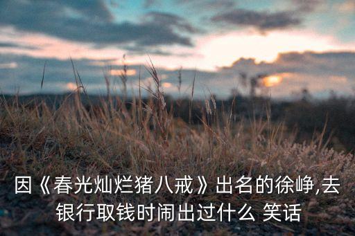 因《春光燦爛豬八戒》出名的徐崢,去 銀行取錢時(shí)鬧出過(guò)什么 笑話