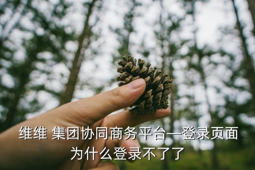 徐州境外投資維維集團(tuán),徐州維維集團(tuán)領(lǐng)導(dǎo)班子