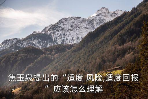 焦玉泉提出的“適度 風險,適度回報”應該怎么理解