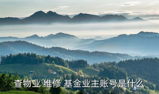 查物業(yè) 維修 基金業(yè)主賬號(hào)是什么
