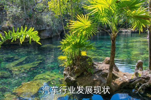  汽車(chē)行業(yè)發(fā)展現(xiàn)狀
