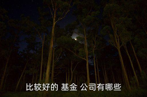 比較好的 基金 公司有哪些