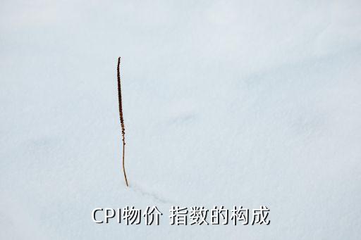 CPI物價 指數的構成