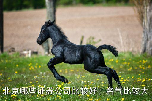 北京哪些證券公司比較好、名氣比較大