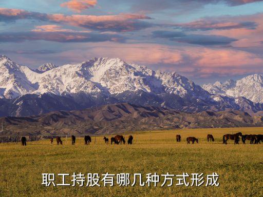 公司員工股票認購方法,內(nèi)部員工認購的股票能買嗎