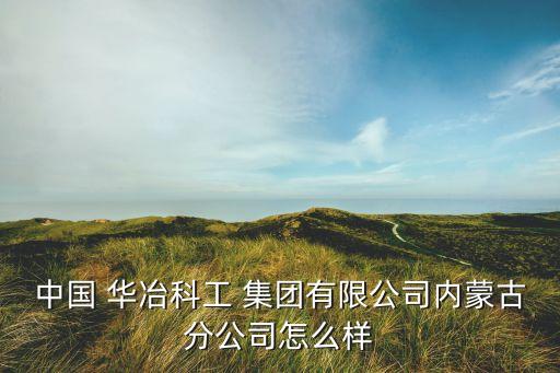 華冶科工集團(tuán)董事長(zhǎng),中國(guó)華冶科工集團(tuán)董事長(zhǎng)
