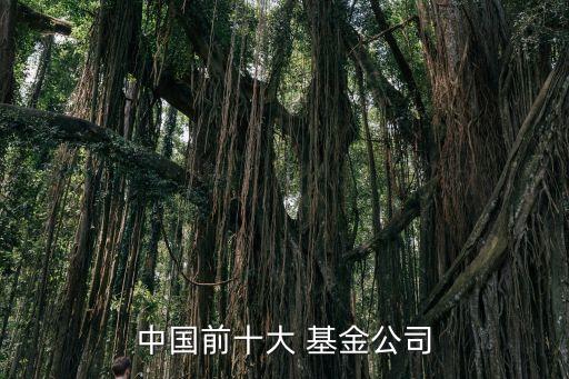中國前十大 基金公司