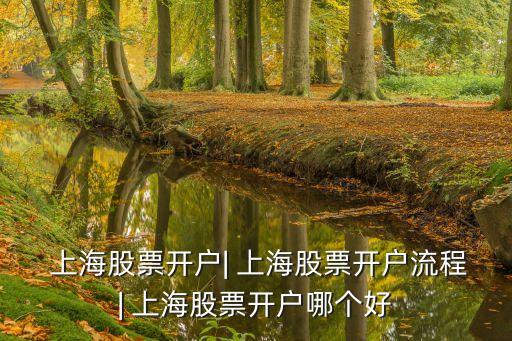  上海股票開戶| 上海股票開戶流程| 上海股票開戶哪個(gè)好