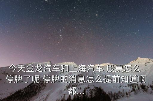 上汽集團股票要停牌多久