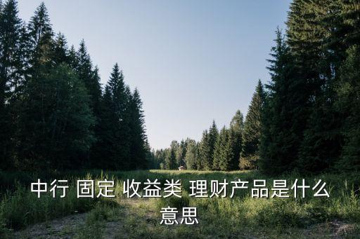 中行 固定 收益類 理財產(chǎn)品是什么意思