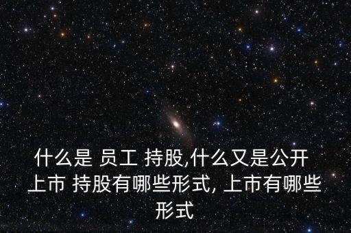 什么是 員工 持股,什么又是公開 上市 持股有哪些形式, 上市有哪些形式