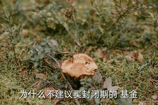 為什么不建議買(mǎi)封閉期的 基金