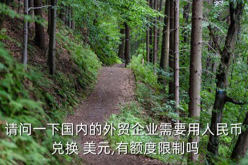請問一下國內(nèi)的外貿(mào)企業(yè)需要用人民幣 兌換 美元,有額度限制嗎
