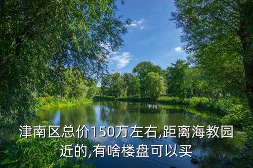 津南區(qū)總價(jià)150萬(wàn)左右,距離海教園近的,有啥樓盤(pán)可以買(mǎi)