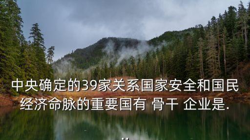 中央確定的39家關(guān)系國家安全和國民經(jīng)濟(jì)命脈的重要國有 骨干 企業(yè)是...