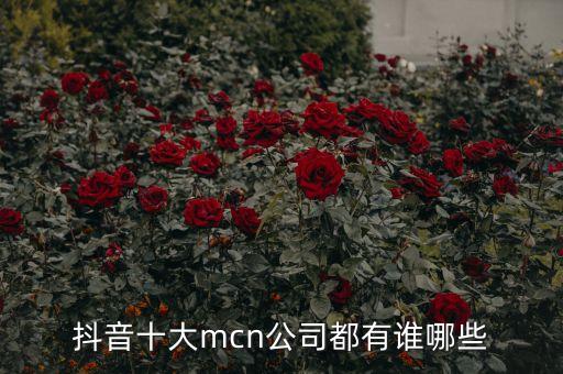 抖音十大mcn公司都有誰(shuí)哪些