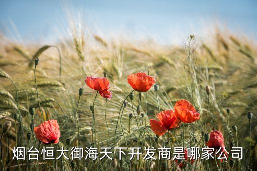 煙臺(tái)恒大御海天下開發(fā)商是哪家公司