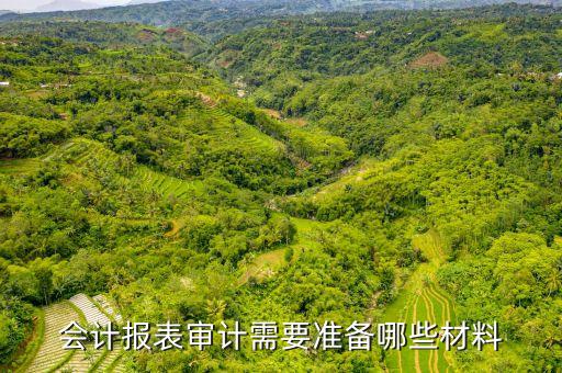 銀行盤點(diǎn)表,銀行票據(jù)盤點(diǎn)表