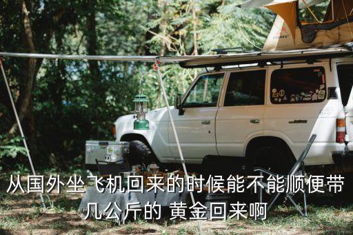 從國外坐飛機回來的時候能不能順便帶幾公斤的 黃金回來啊