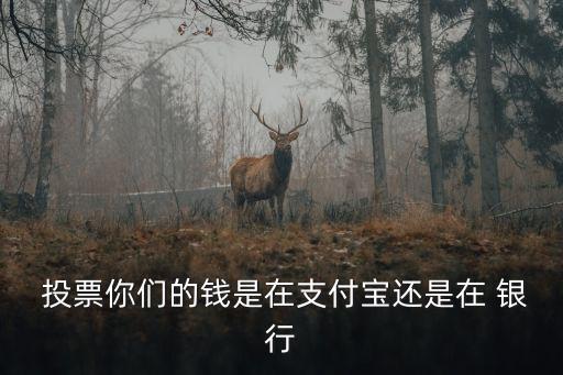  投票你們的錢(qián)是在支付寶還是在 銀行