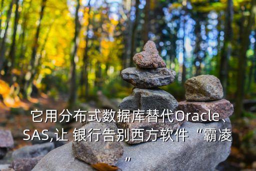 它用分布式數(shù)據(jù)庫替代Oracle、SAS,讓 銀行告別西方軟件“霸凌”