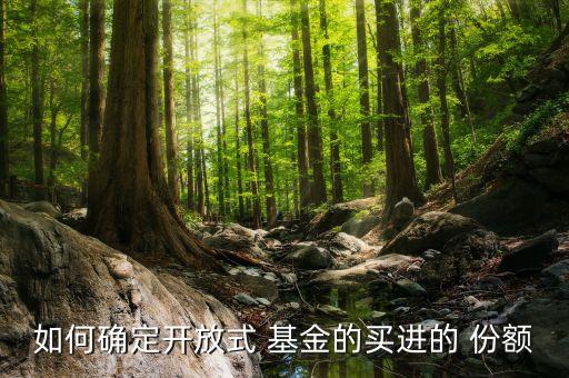 如何確定開(kāi)放式 基金的買進(jìn)的 份額