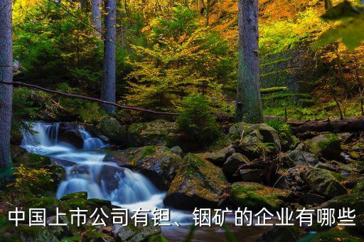 中國上市公司有鉭、銦礦的企業(yè)有哪些