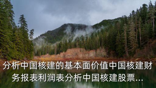 分析中國(guó)核建的基本面價(jià)值中國(guó)核建財(cái)務(wù)報(bào)表利潤(rùn)表分析中國(guó)核建股票...